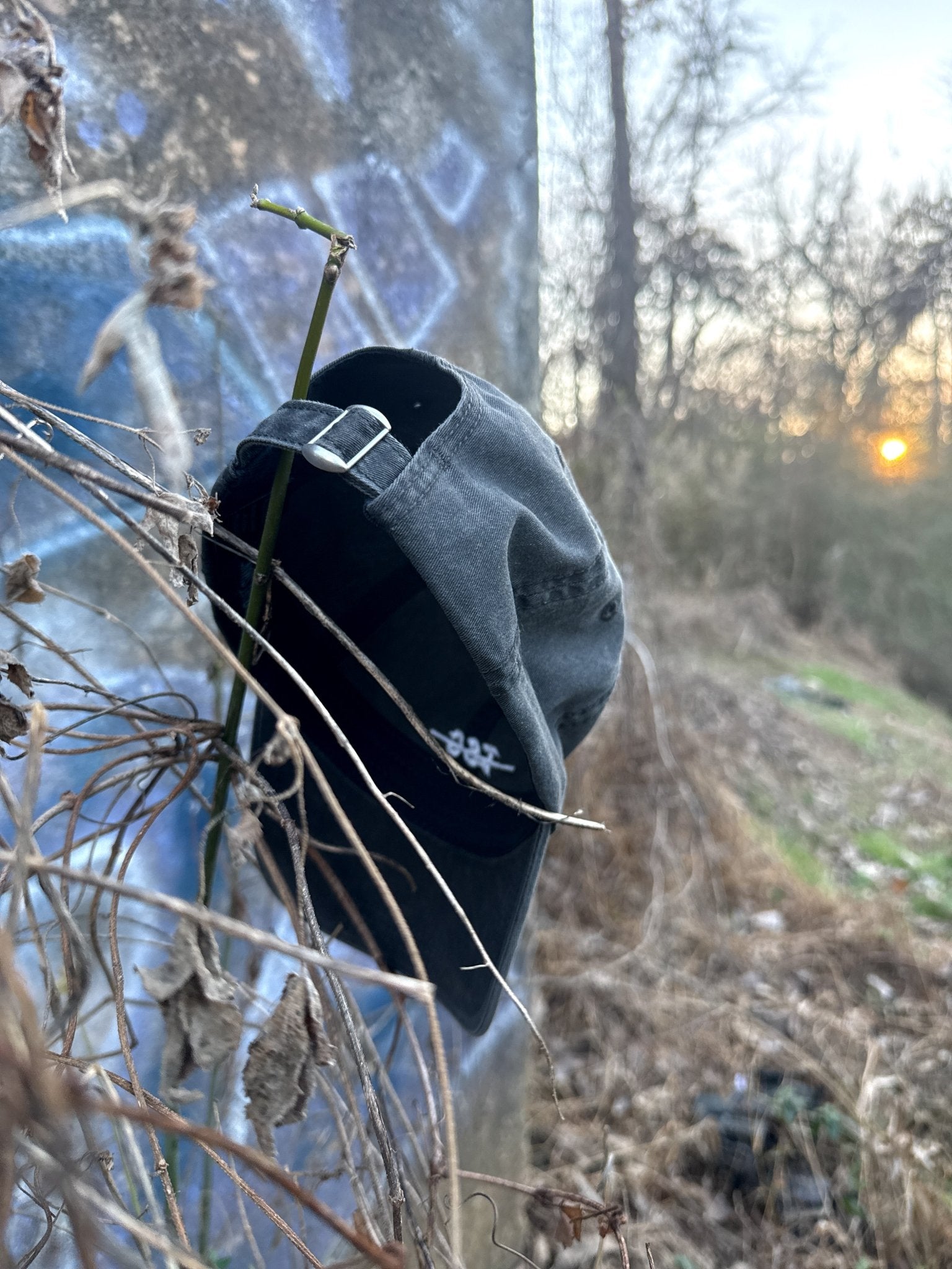 TSC Faded Cap - The Savage Compound